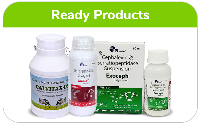 Veterinary Drug Syrup