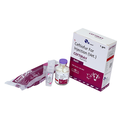 Melocan-Plus
